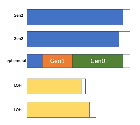 segments